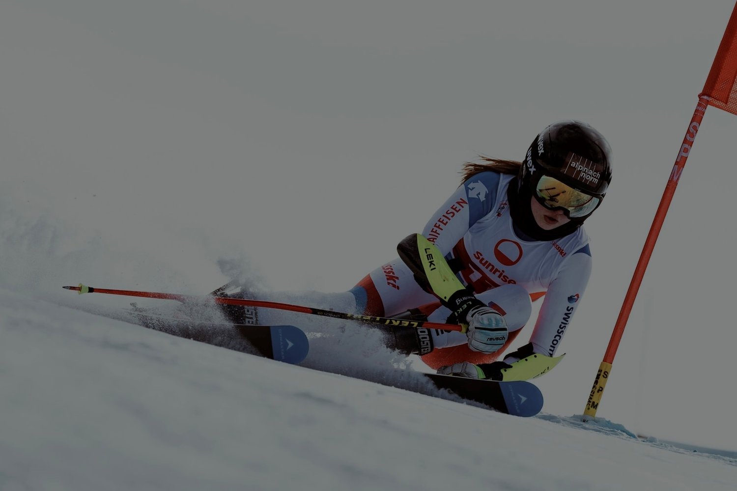 Riesenslalom 